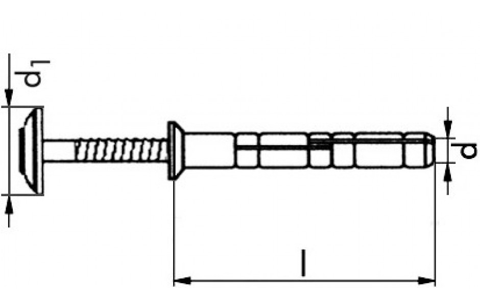 Nageldübel evo Grip - Spenglerdichtscheibe 15mm - Nylon - Edelstahl A2 - 6 X 40
