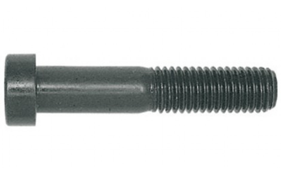 Zylinderschraube DIN 6912 - 010.9 - blank - M6 X 30
